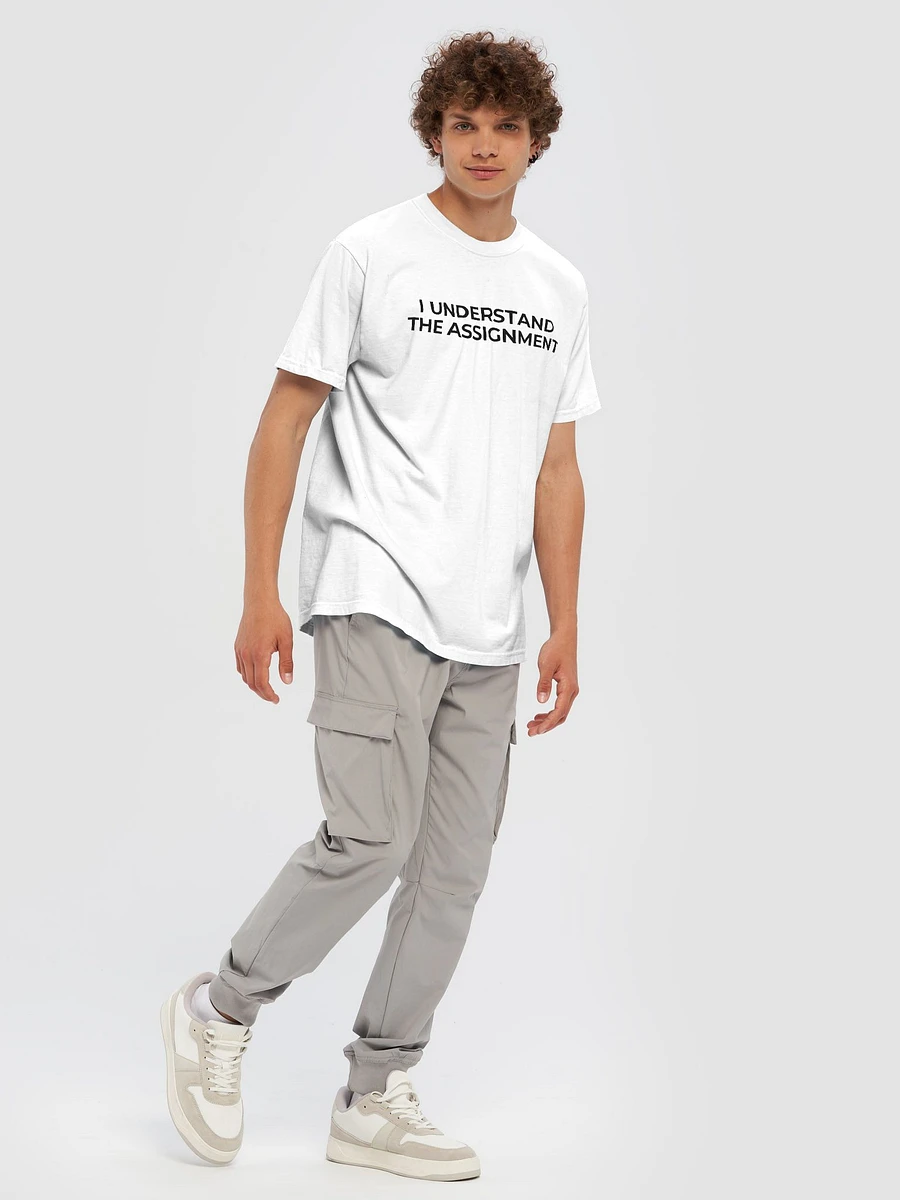 I Understand The Assignment - T-Shirt product image (9)