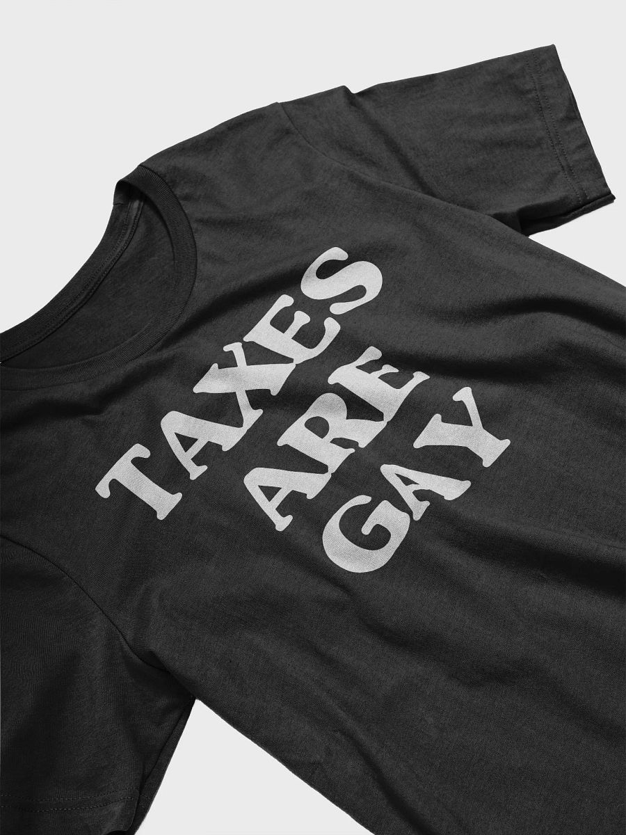 Taxes are Gay Shirt product image (24)