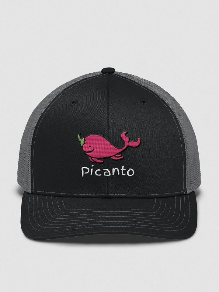 W Picanto Hat product image (1)