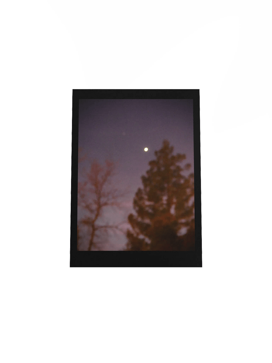 Purple Night product image (8)
