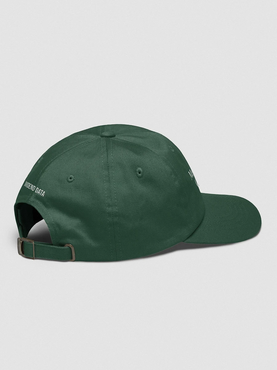 Make Dividends Great Again, Green Hat product image (4)
