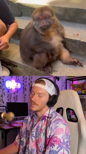 Behind The Jolly Day 🎬🐒