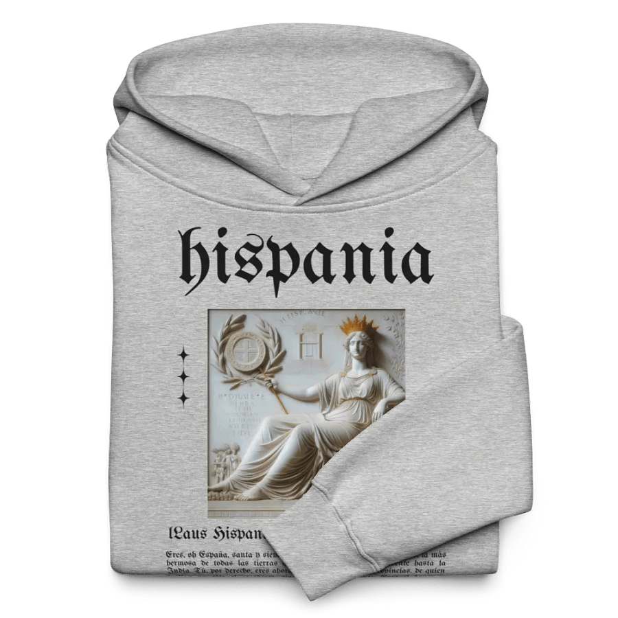 Sudadera con capucha gris - Laus Hispaniae product image (10)