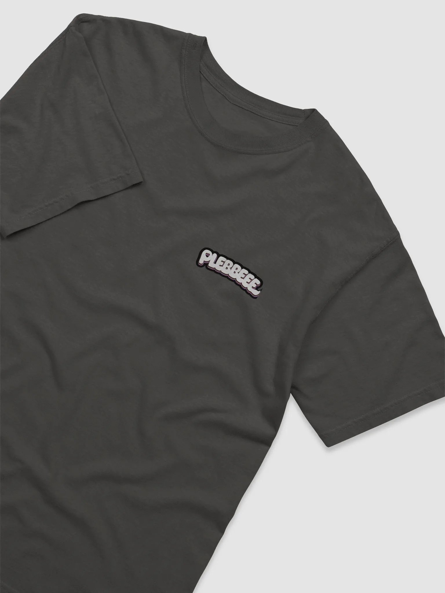 Plebbeee Oversized Heavyweight Tshirt product image (15)