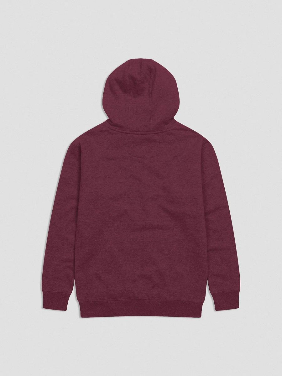 Fancy College Hoodie (Premium) product image (3)