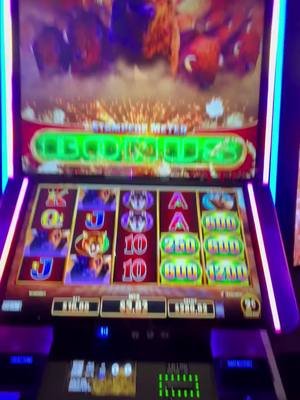 We hit the Bonus Meter on Buffalo Ultimate Stampede, and the reels went wild! 🦬🔥 This Aristocrat slot machine combines Cash‑on‑Reel prizes with the Bonus Meter, unlocking extra reel rows and massive win potential. 🎰 Slot: Buffalo Ultimate Stampede 🔥 Feature: Bonus Meter Burst 🐾 Featuring: Gambling Pugs Watch the buffalo charge, the meter fill, and the bonus feature explode into action. Subscribe for more slot machine bonuses, feature hits, and pug‑powered casino fun! Video Title: Buffalo Ultimate Stampede BONUS METER Burst! Huge Feature Hit 🦬 | Gambling Pugs 🔔 Stay ahead of the thrilling gambling escapades! Subscribe now for exclusive casino adventures, hilarious moments, and big wins! https://www.youtube.com/@GamblingPugs/?sub_confirmation=1 🔗 Stay Connected With Us. 👉 Facebook: https://www.facebook.com/GamblingPugs/ 📩 For Business Inquiries: gamblingpugs@gmail.com ============================= ✅ About Gambling Pugs. Welcome to our Gambling Pugs YouTube channel! We are a married couple who love pugs and also love to gamble, whether it be slot machines or table games. While we hope to win every time we play, we know that isn't realistic so we will show our losses in addition to our wins at local Arizona and Las Vegas casinos. Don't miss out - Subscribe, hit that bell, and get ready for some gambling fun and genuine laughs! For Collaboration and Business inquiries, please use the contact information below: 📩 Email: gamblingpugs@gmail.com 🔔 Don't miss out on the exciting casino adventures! Hit that subscribe button for thrilling casino wins, surprising losses, and nonstop entertainment! https://www.youtube.com/@GamblingPugs/?sub_confirmation=1 ================================= #SlotMachine #BigWin #CasinoSlots #Entertainment #Fun #BuffaloUltimateStampede #BonusMeter #SlotMachineBonus #CasinoShorts #GamblingPugs #BigWin #buffaloslots ⚠️ DISCLAIMER: We do not accept any liability for any loss or damage incurred from you acting or not acting as a result of watching any of our publications. You acknowledge that you use the information we provide at your own risk. Do your research. Our videos are for entertainment purposes only and do no