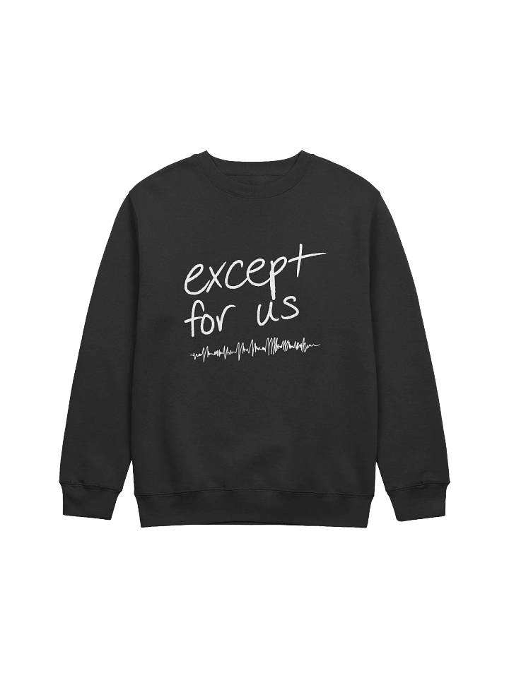 Except For Us Sweatshirt product image (1)