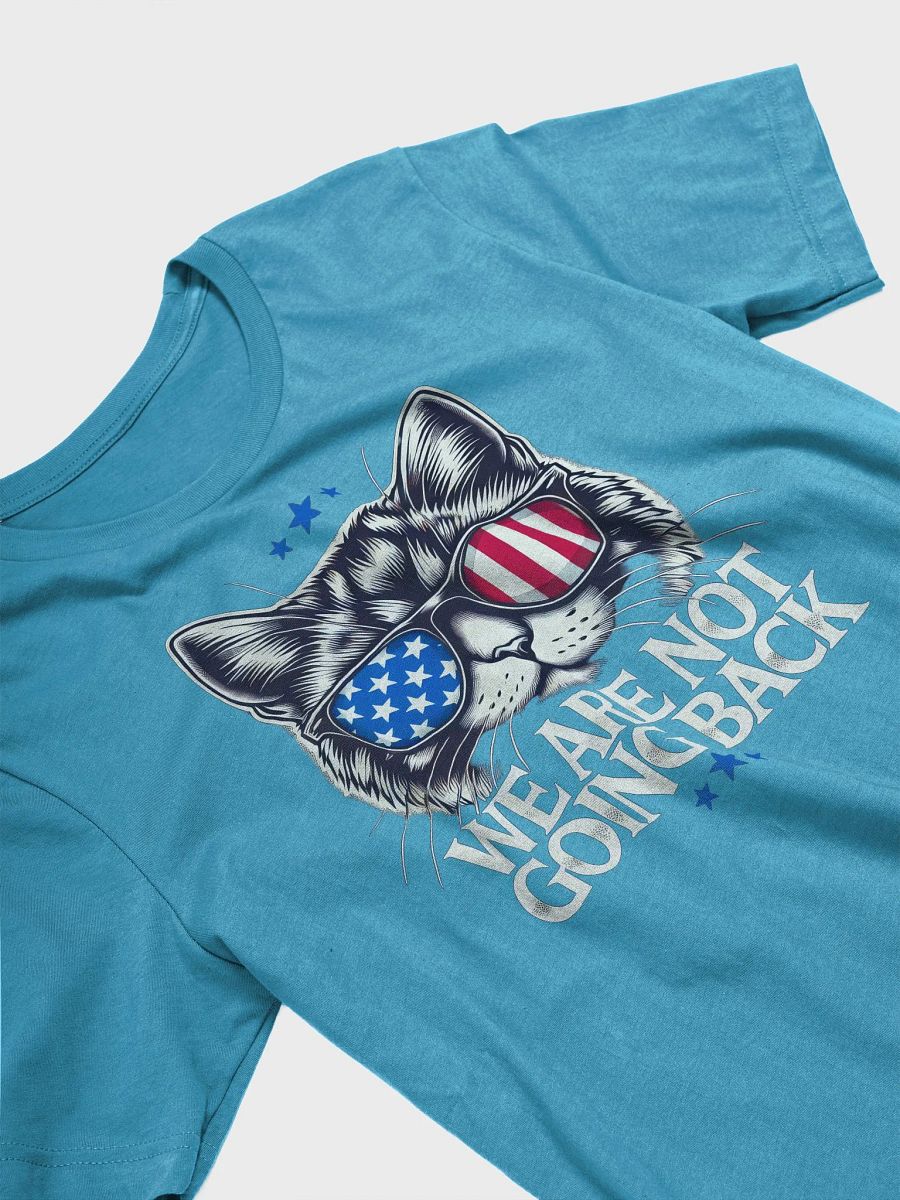 US Election Day 2024 We Are Not Going Back Cat America Flag T-Shirt product image (5)