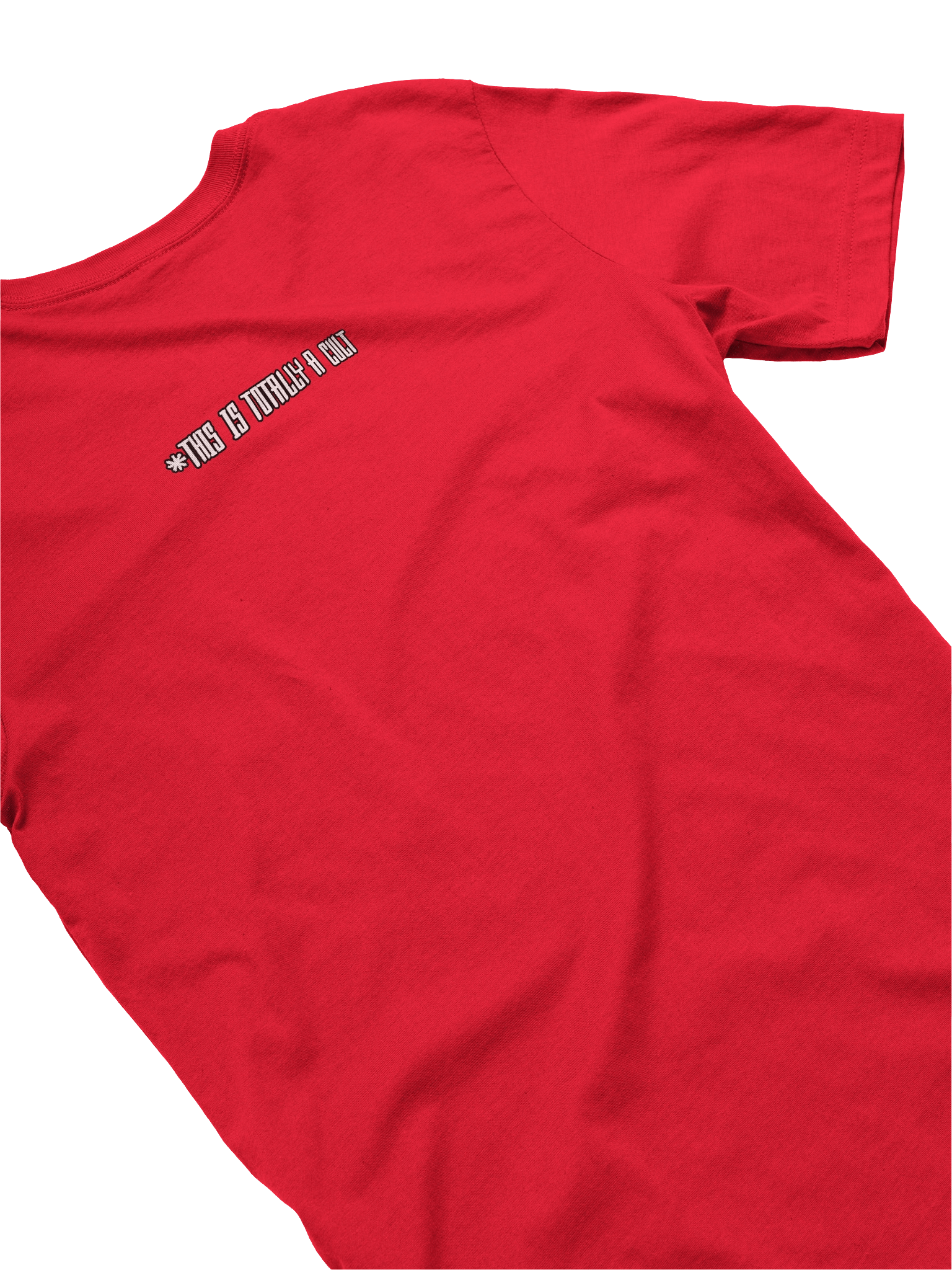This Is Not a Cult - Bella+Canvas Supersoft T-Shirt product image (76)