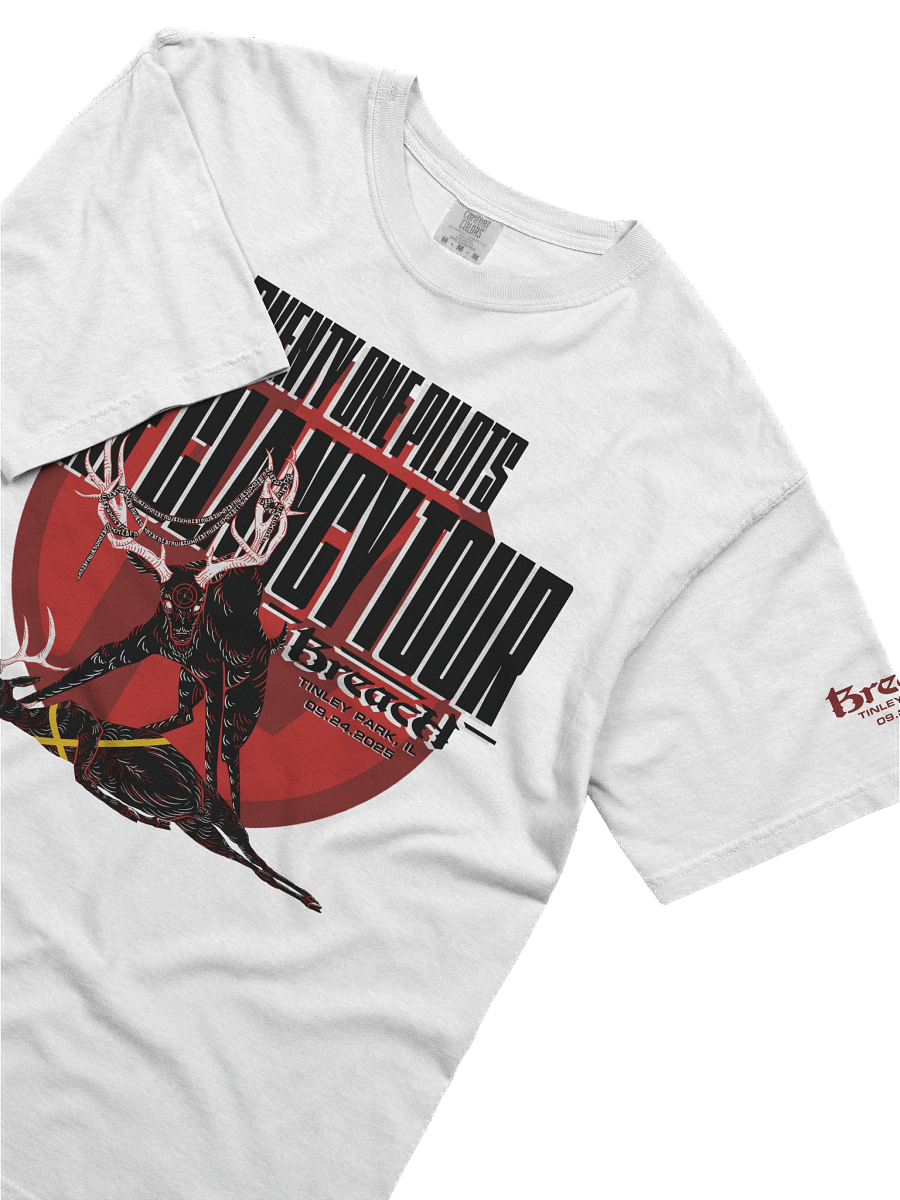 Tinley Park 2025 T-Shirt (Light) product image (5)