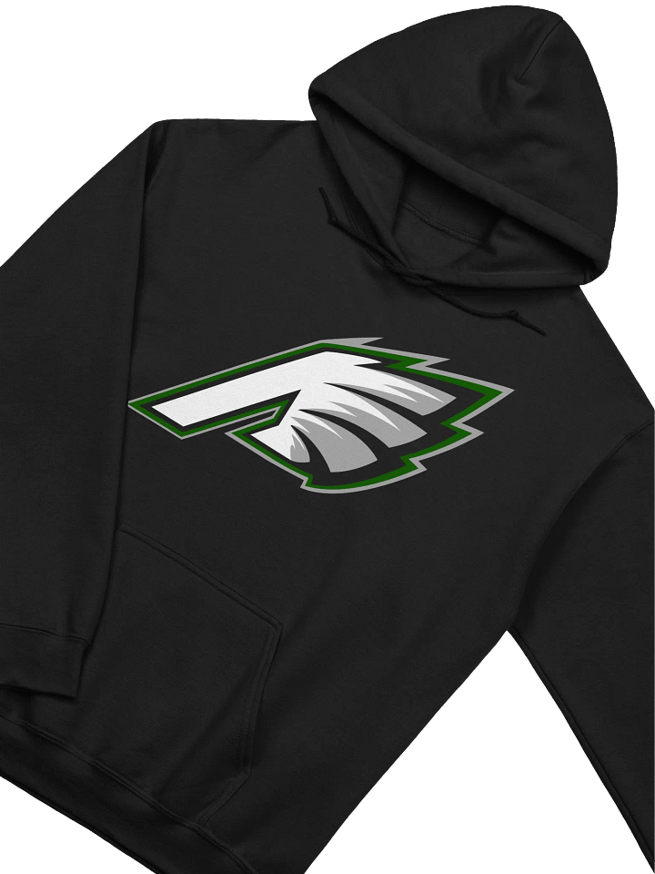 Ash Birds Hoodie product image (2)