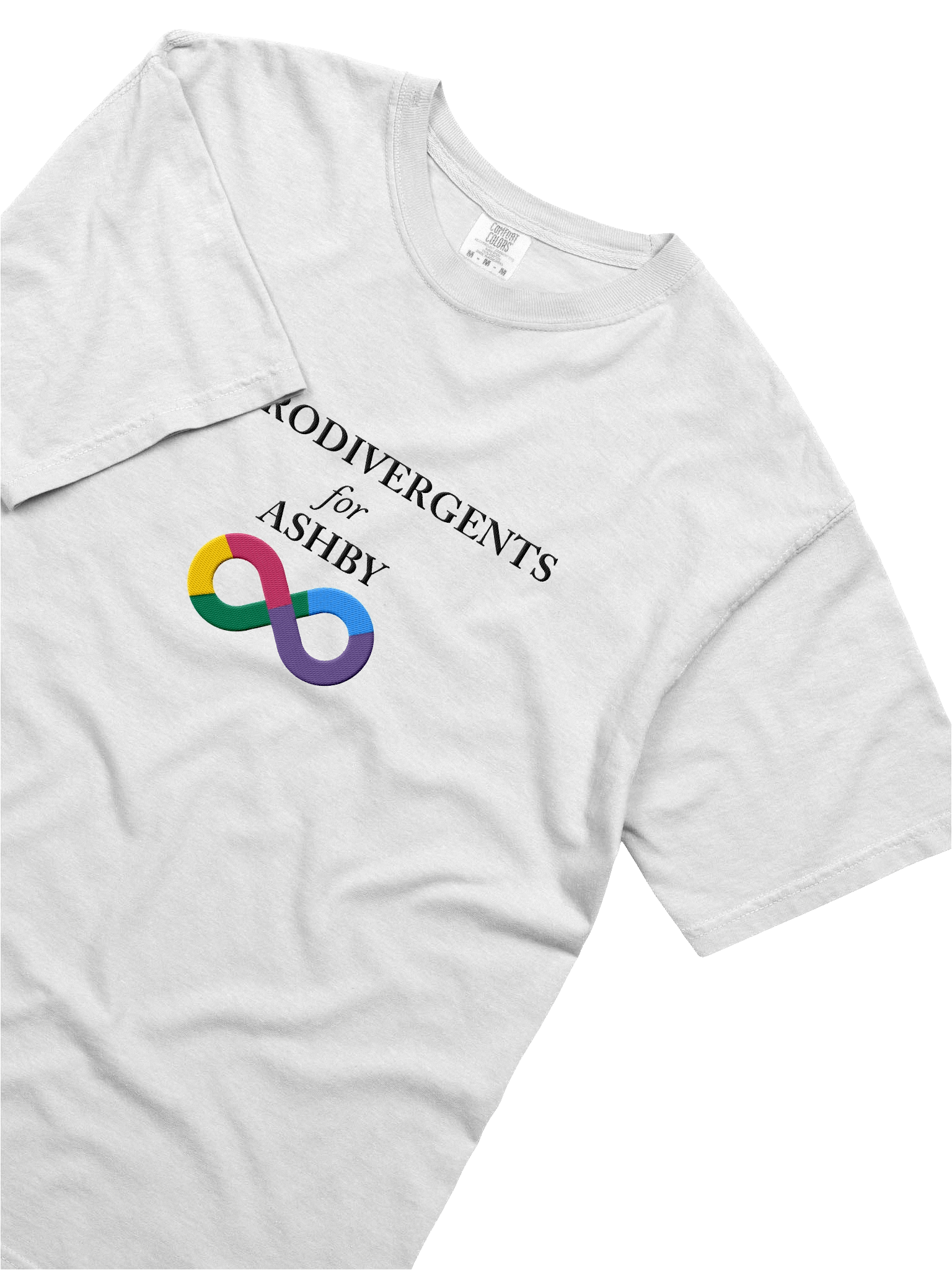 NEURODIVERGENTS 4 ASHBY TSHIRT (embroidered) product image (5)