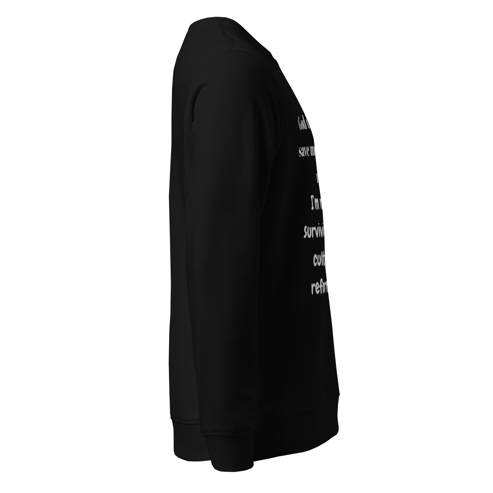 Reforming Culture Organic Sweatshirt product image (4)