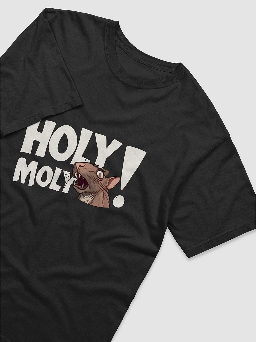 HOLY MOLY RAT T-SHIRT (dark heavyweight) product image (1)