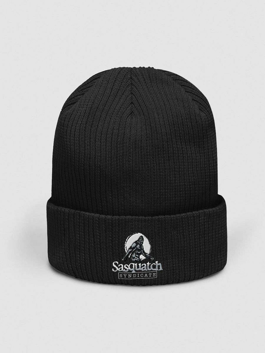 Stocking Cap product image (1)