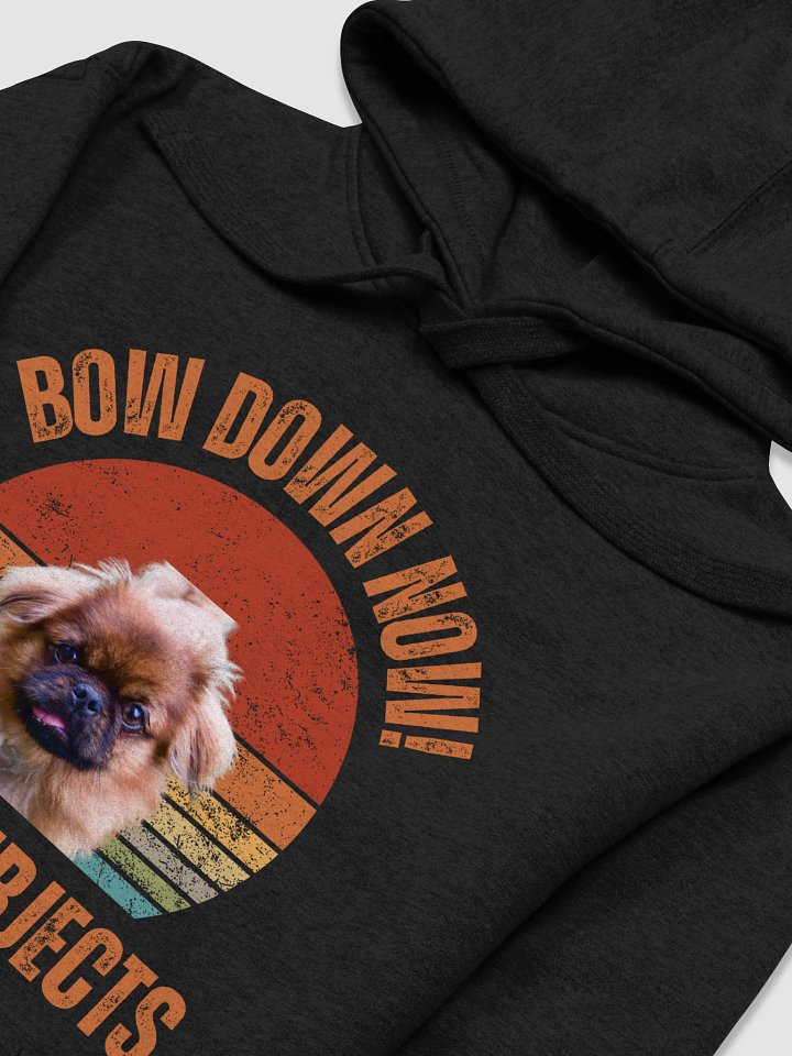 Rainbow Reign Pekingese Unisex Hoodie product image (2)