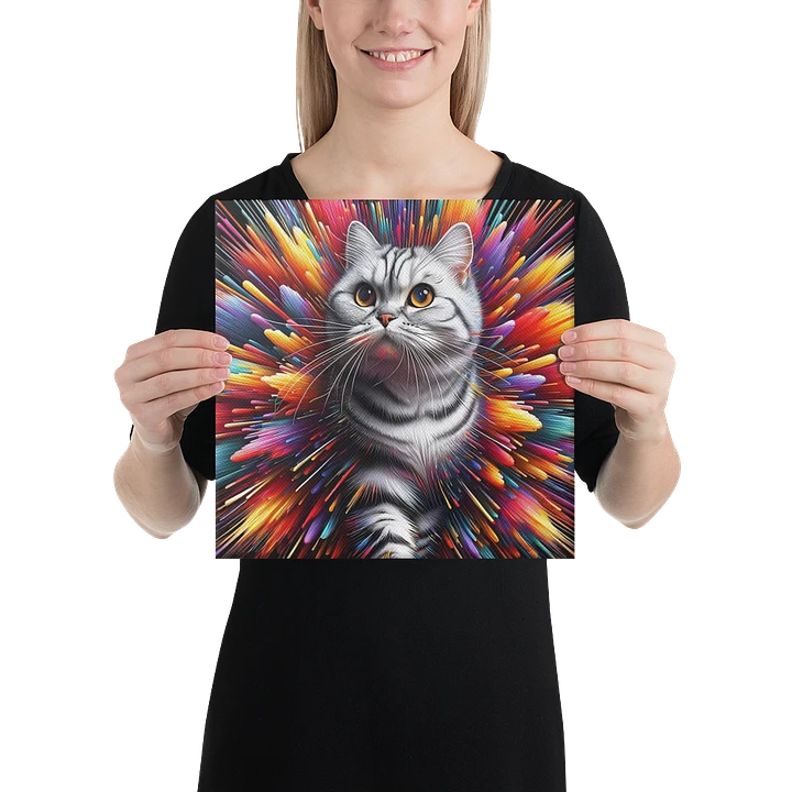 Canvas (in): American Shorthair product image (2)