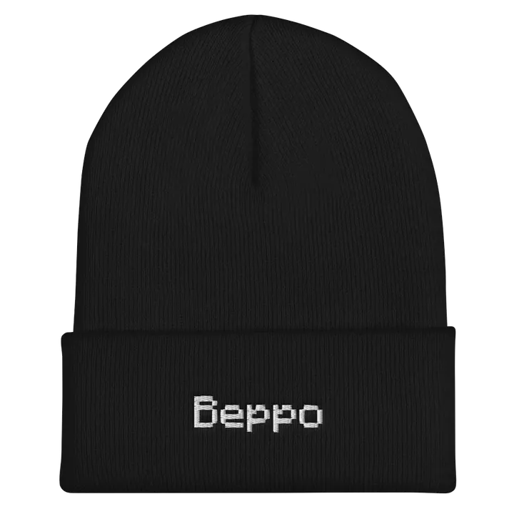 Beppo Embroidered Beanie - Black product image (1)