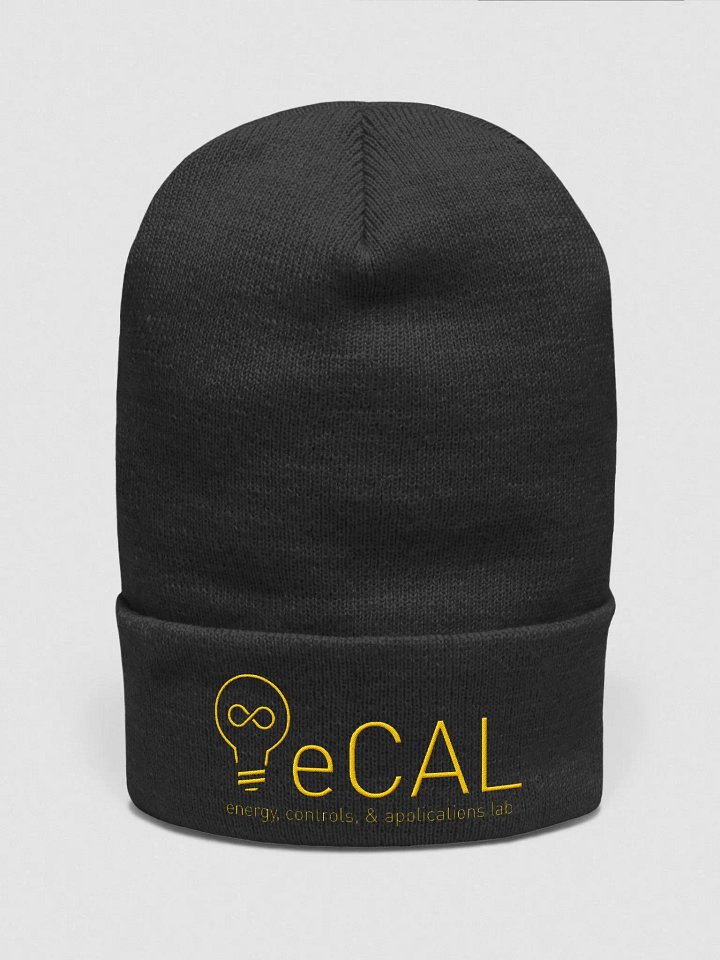 eCAL Beanie product image (3)
