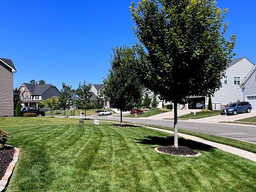 Afternoon sun ☀️ 

#lawn #lawncare #grass #summervibes
