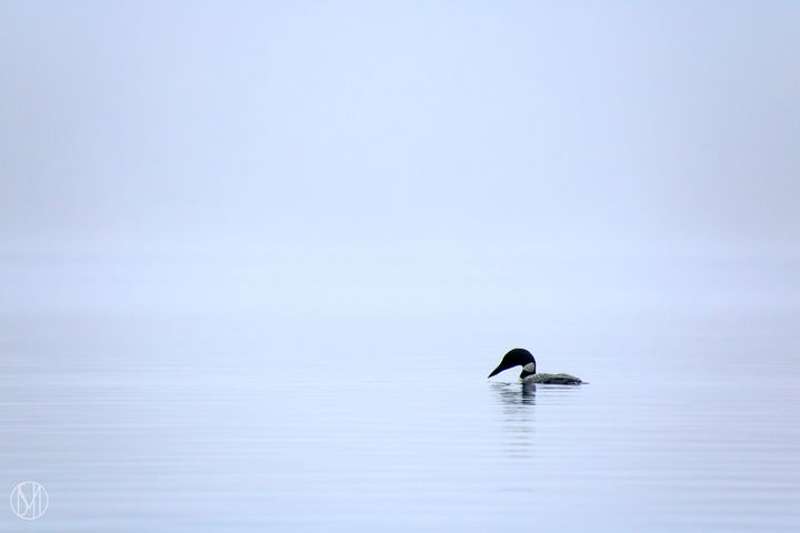 Sound of Silence Print product image (1)