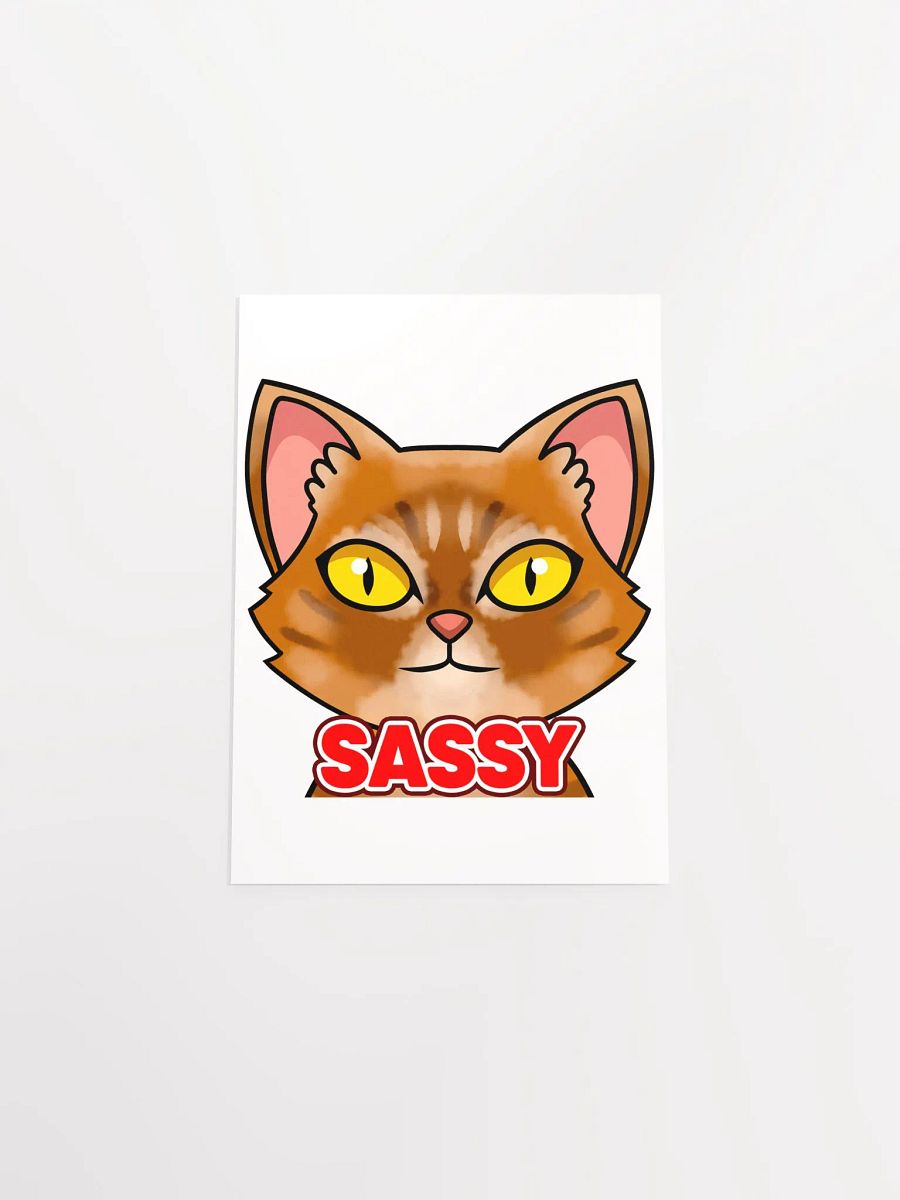 SASSY Poster product image (4)