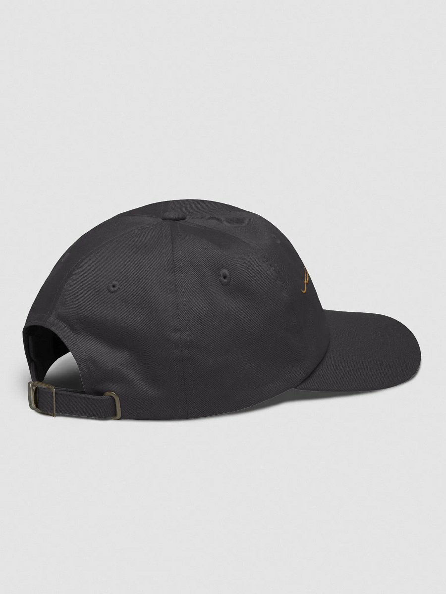 Smoke & Salt Dad Hat product image (4)