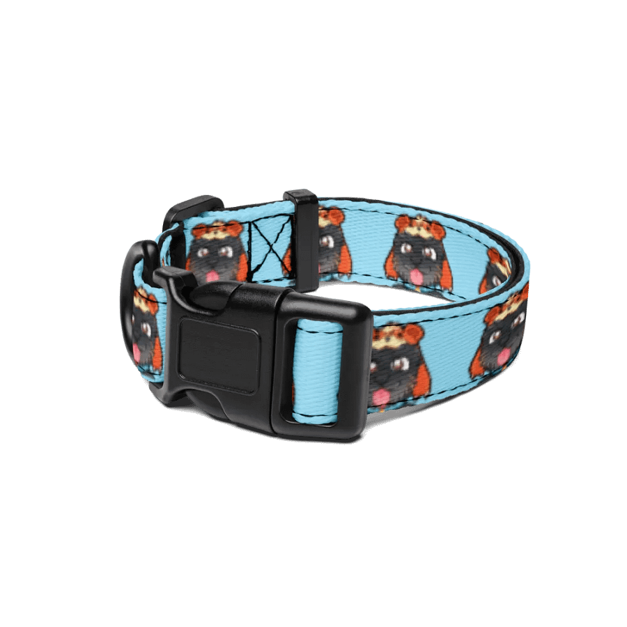 Shellbee Pet Collar product image (1)