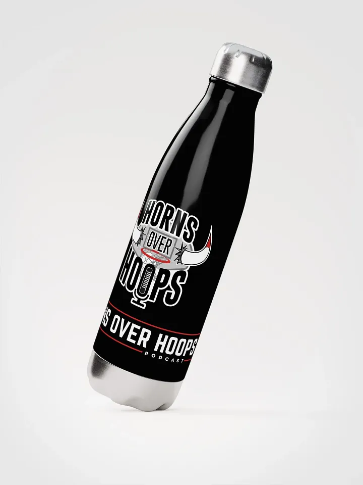 Stainless Steel Bottle product image (2)