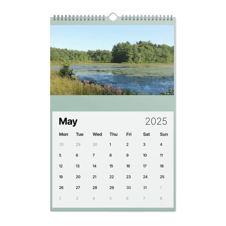 2025 calendar product image (5)