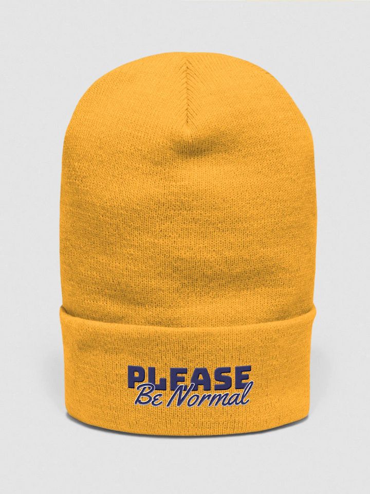 The Beanie product image (3)