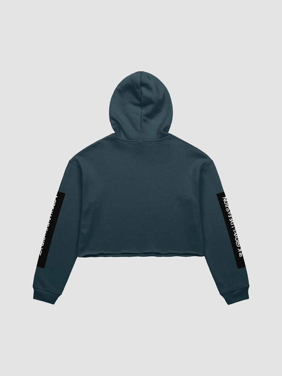 teddy skate life product image (10)