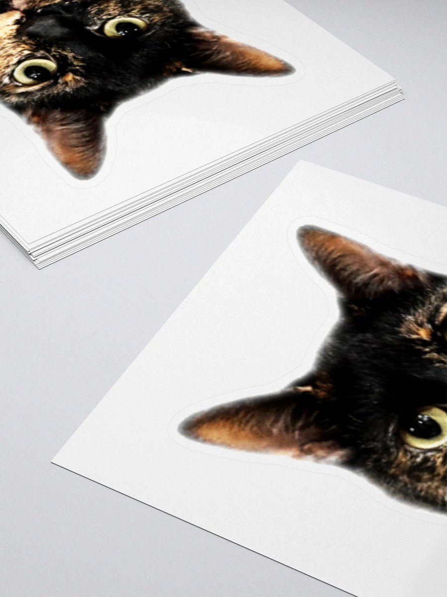 Charli Sticker product image (8)