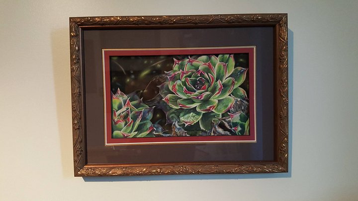 Succulent~ Original Framed Pastel product image (1)