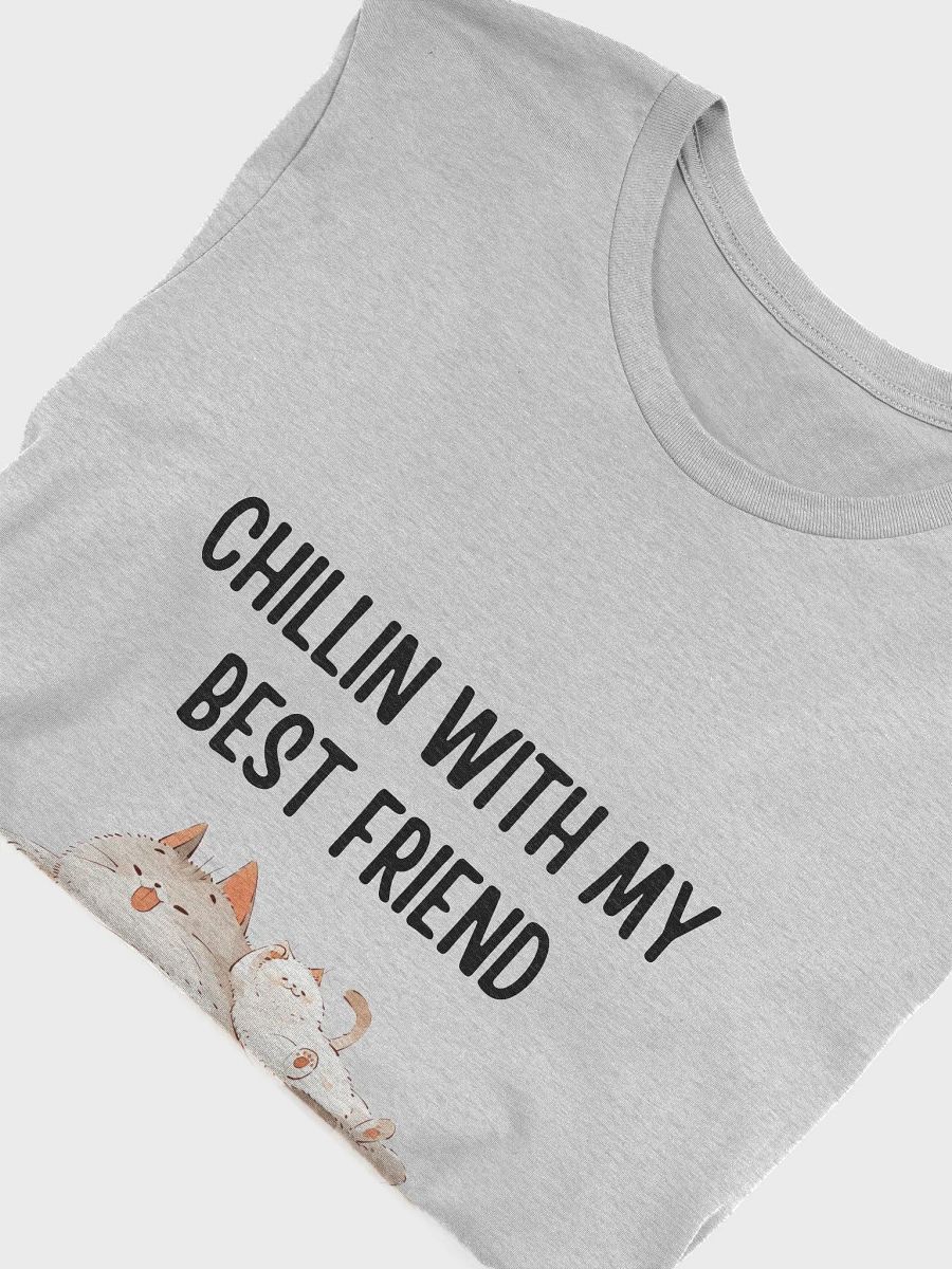 Two Cats Chilling - 