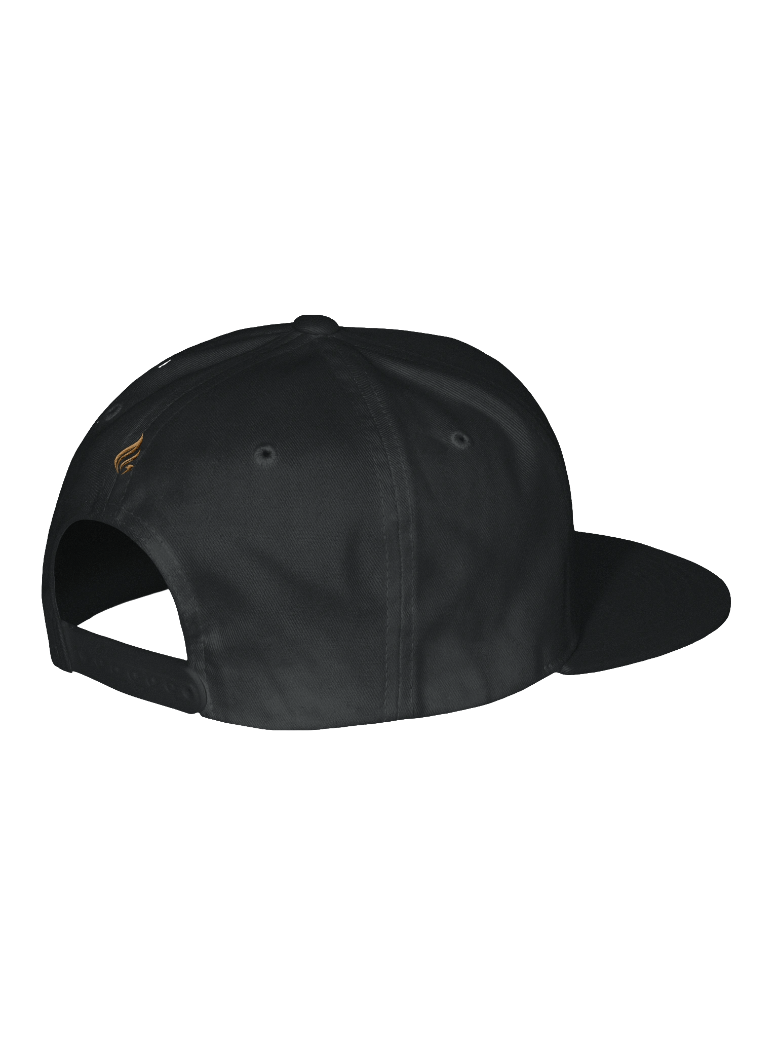 Crowned with Victory product image (3)