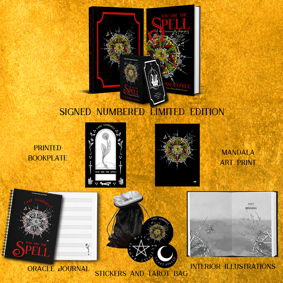You Are the Spell: Deluxe Limited Edition Package product image (2)