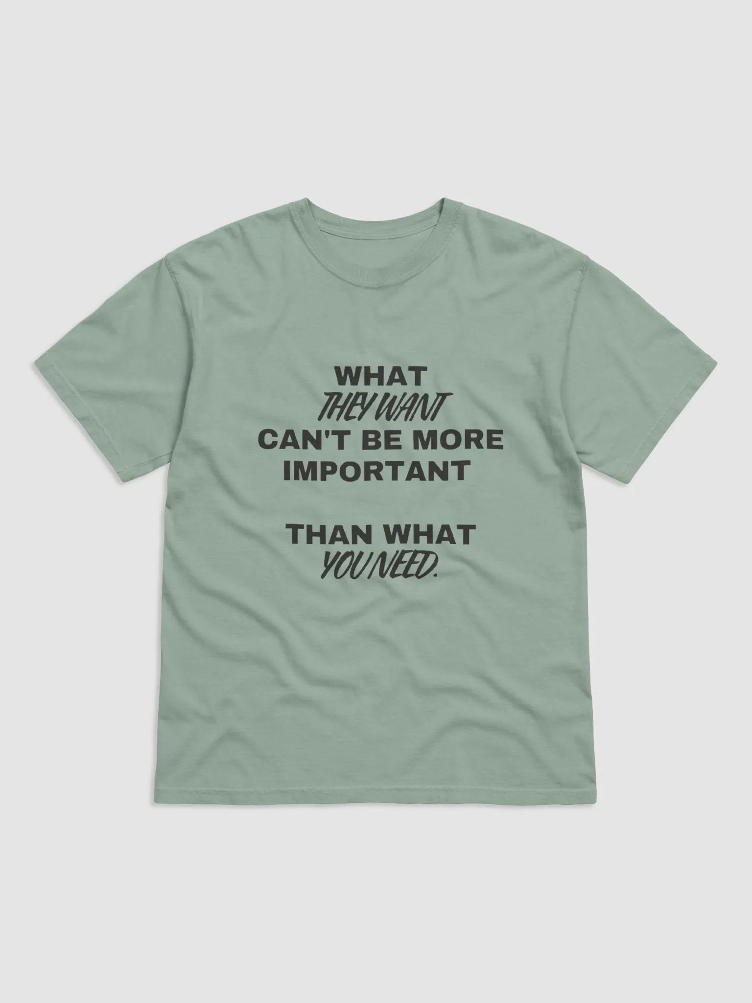 What they want t-shirt product image (1)