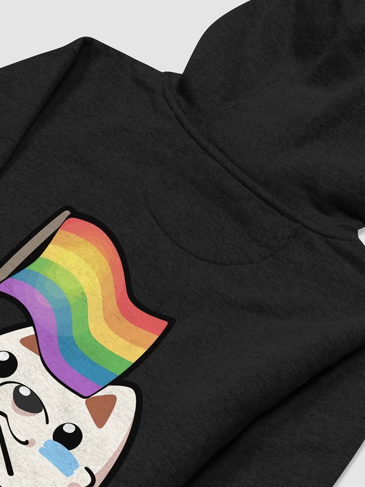 Rainbow Pride Hoodie product image (1)