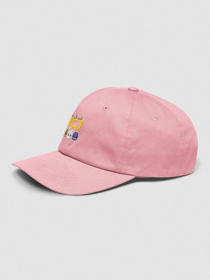 RCJ Hat product image (18)