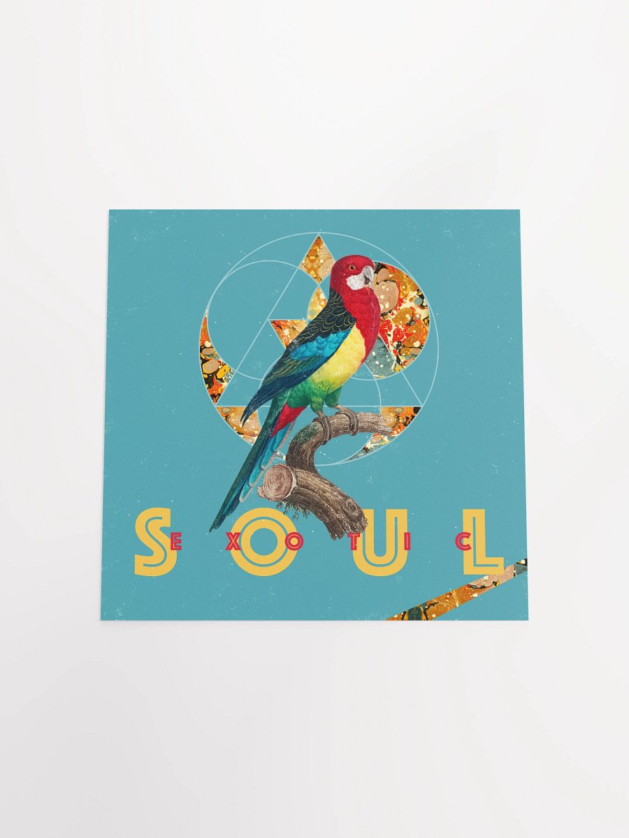 Vibrant Parrot Perch Poster product image (18)