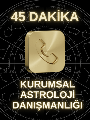 45 Dakika - Kurumsal Danışmanlık product image (1)