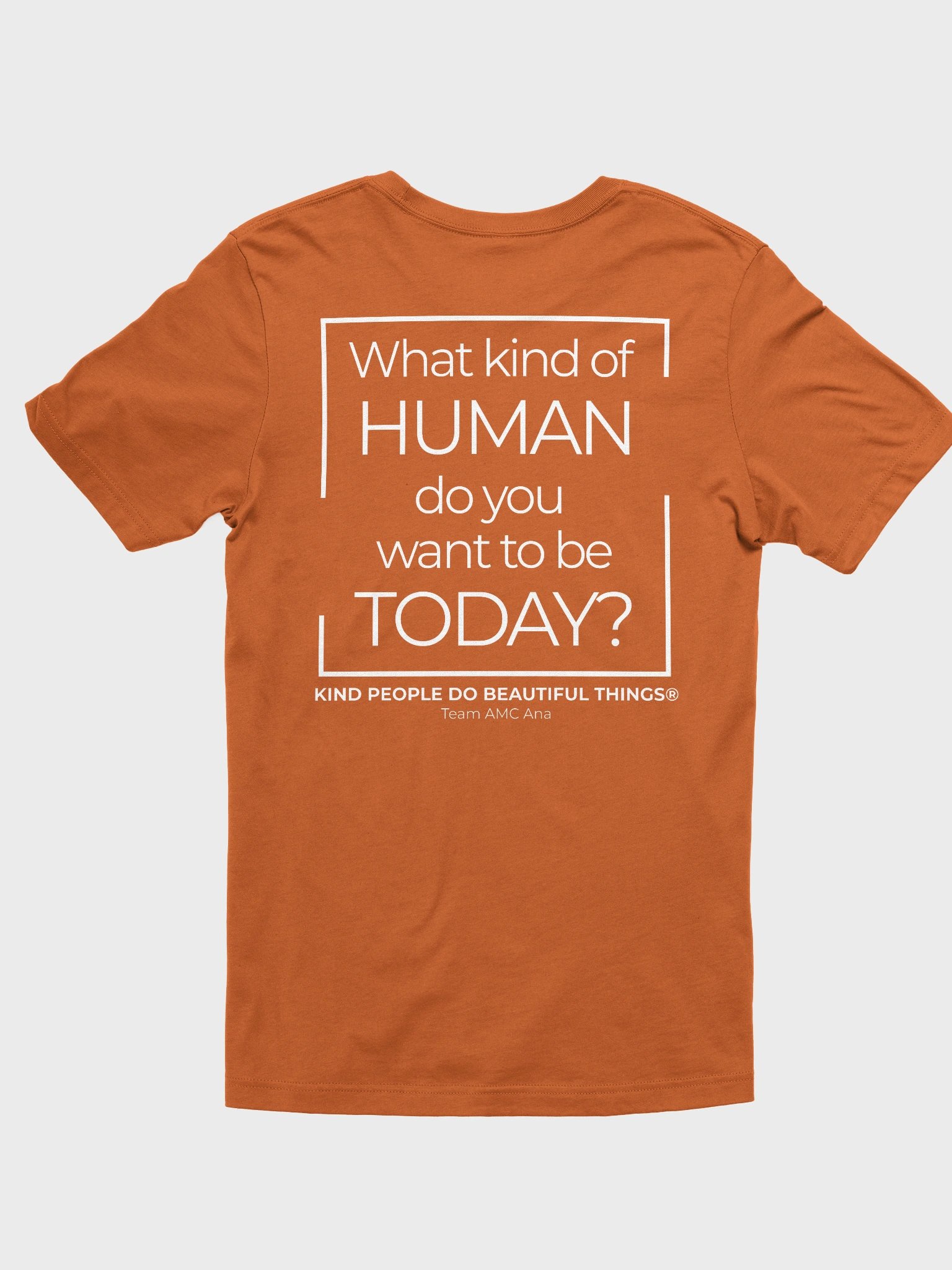 RESILIENT Human - Fall Shirt product image (15)