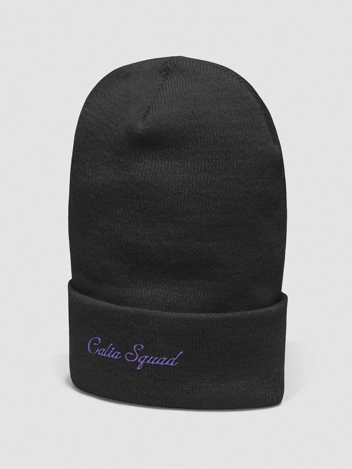Beanie product image (2)