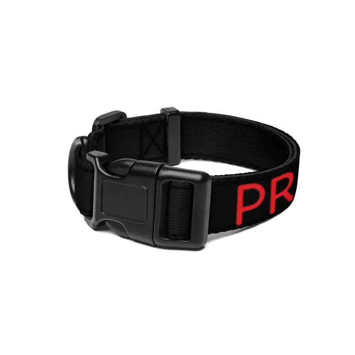 Bold Red Pet Collar by Pro Synth Network product image (1)