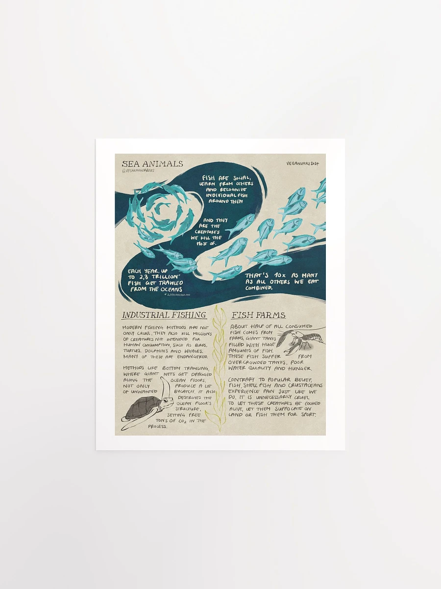 Sea Animals Educational Print – Veganuary 2024 product image (3)