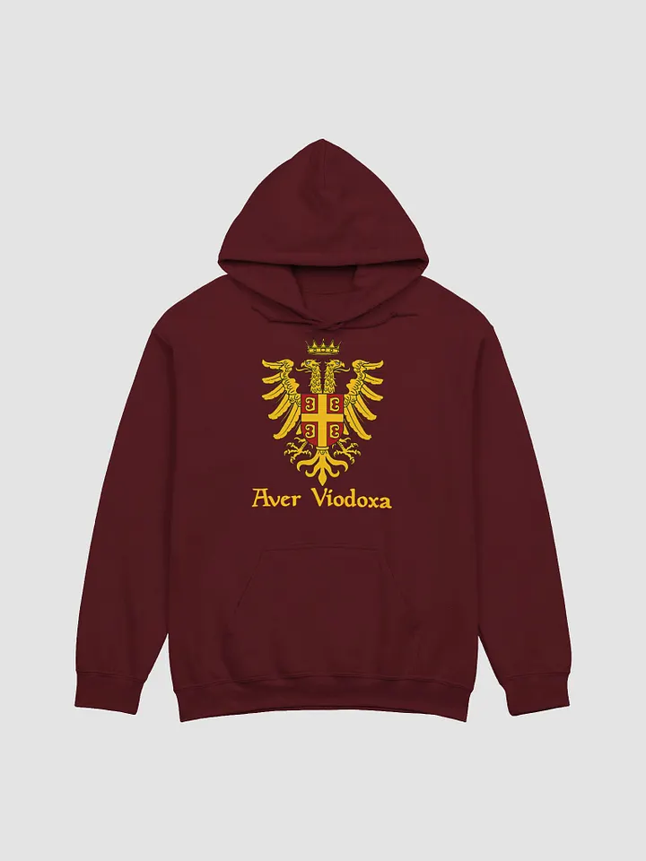 Aver Viodoxa Hoodie product image (2)