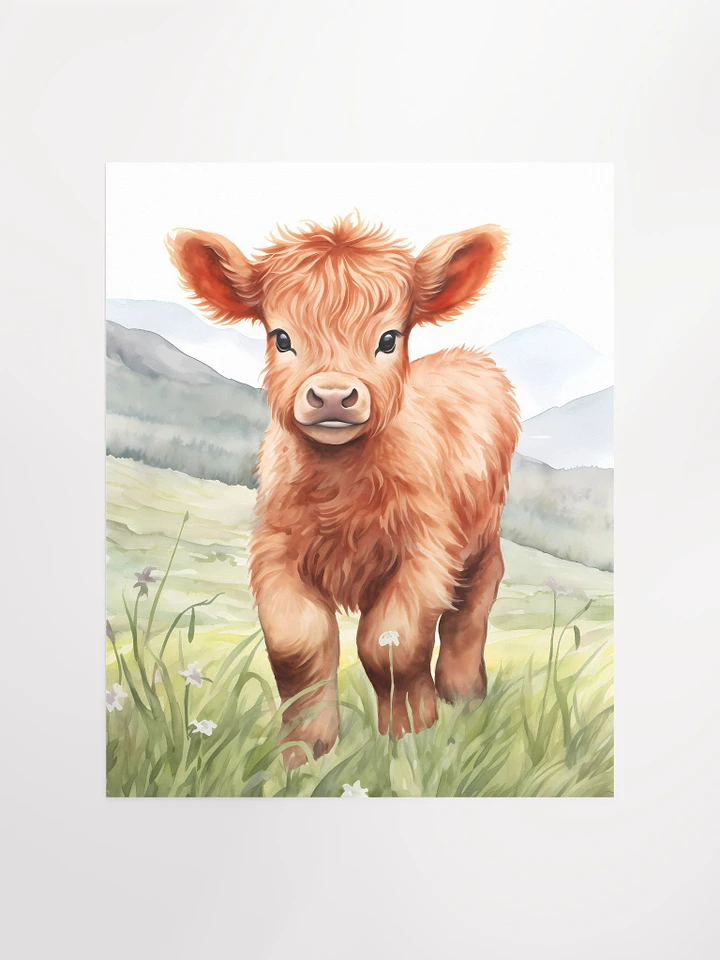 Highland Calf Poster product image (2)