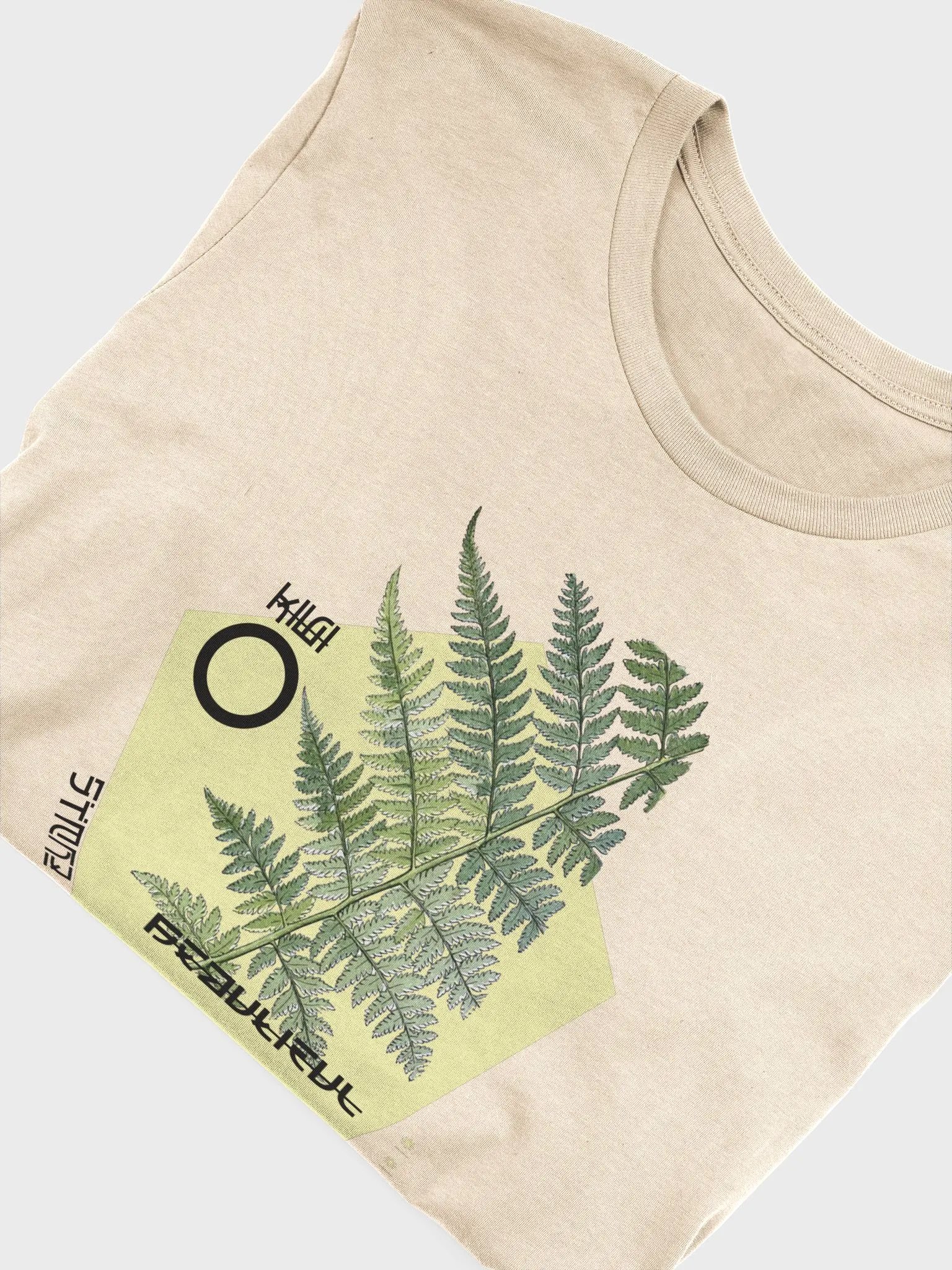 Beautiful product image (2)