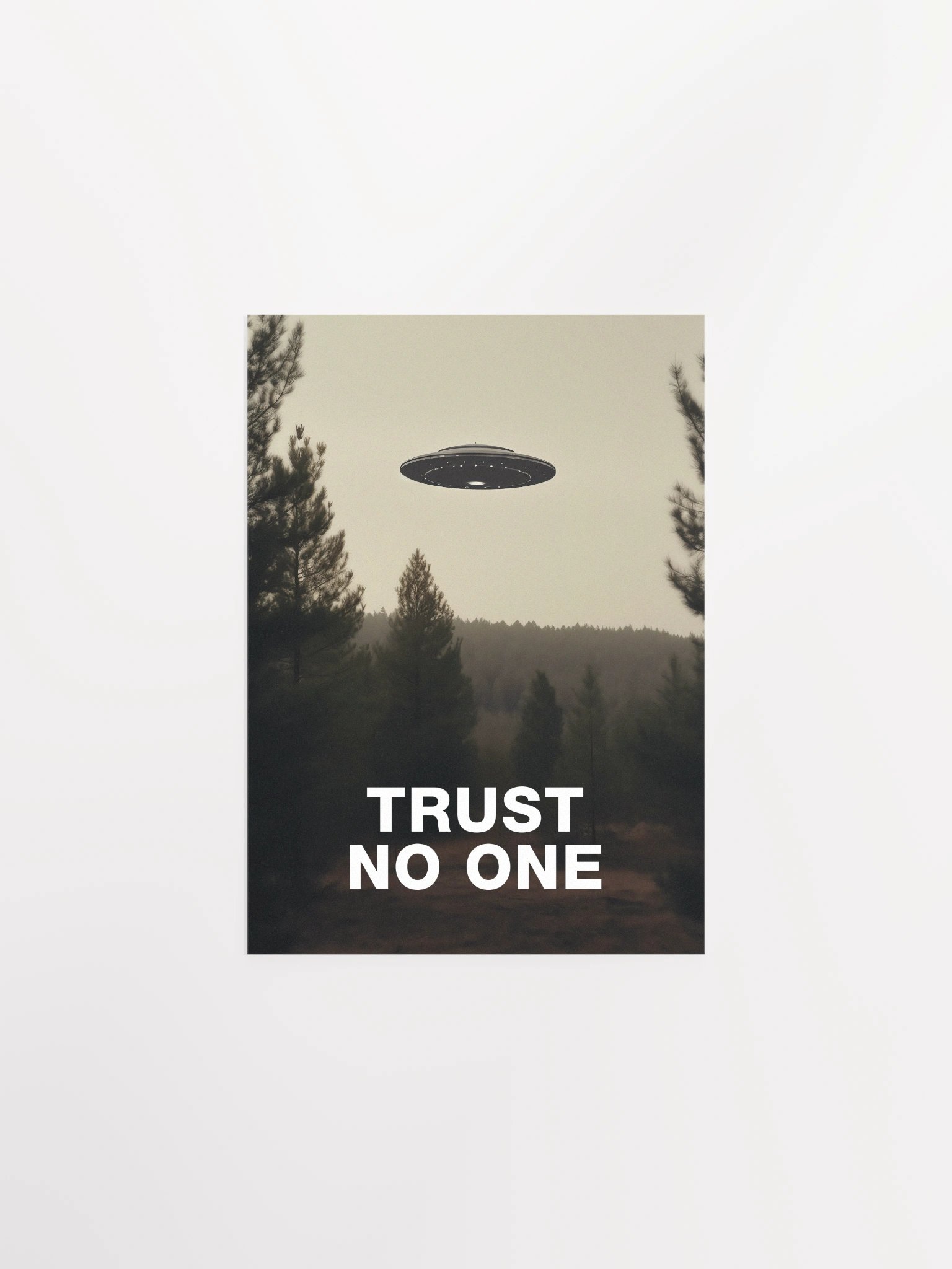 Trust No One/The X-Files poster, S01E24 1994 — sci-fi poster, movie art, I want to believe poster, space print, aliens wall decor product image (6)